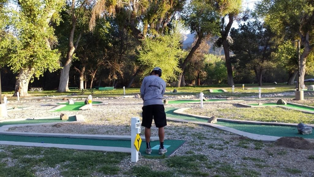 Nice mini golf course surrounded by trees