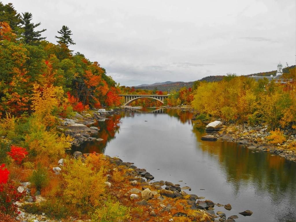 Fall in Maine and the Surrounding Northeast Area (9/15 – 10/20)